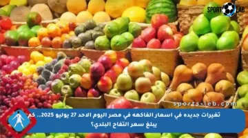 تغيرات جديدة في أسعار الفاكهة في مصر اليوم الأحد 27 يوليو 2025.. كم يبلغ سعر التفاح البلدي؟